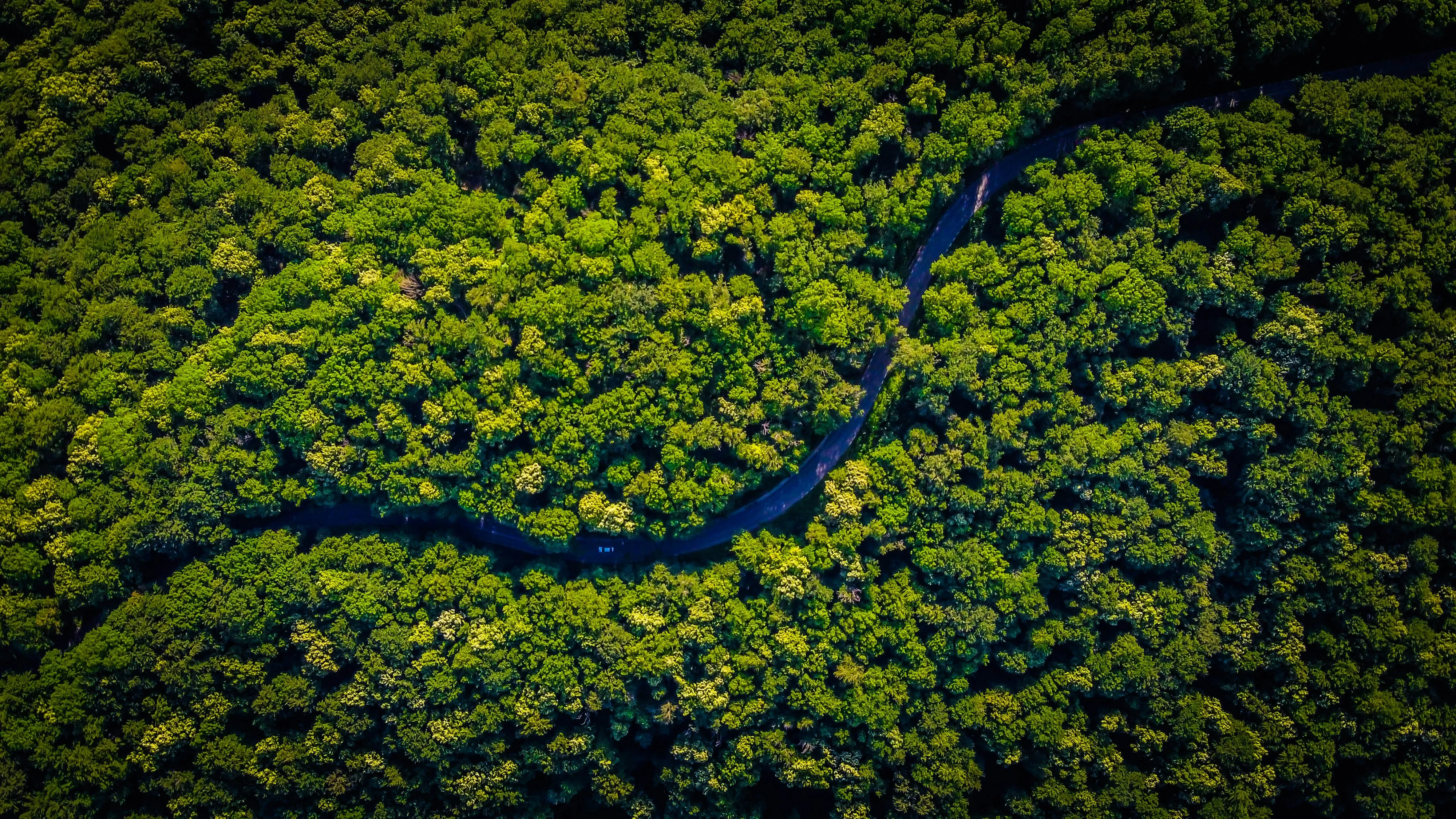 Natureza Redor